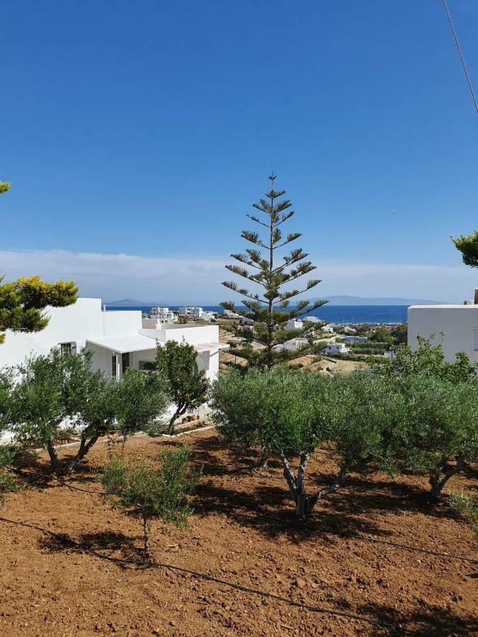 Anthoula'S Sea View Apartment Piso Livadi Exterior photo